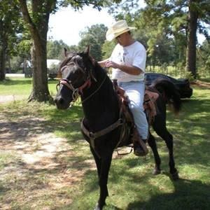 Meet your Posher, Raymond